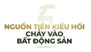 Người Việt Kiều Quan Tâm nhiều đến BĐS Việt Nam vào cuối năm