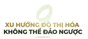 Sức bật hạ tầng khu đông TPHCM...