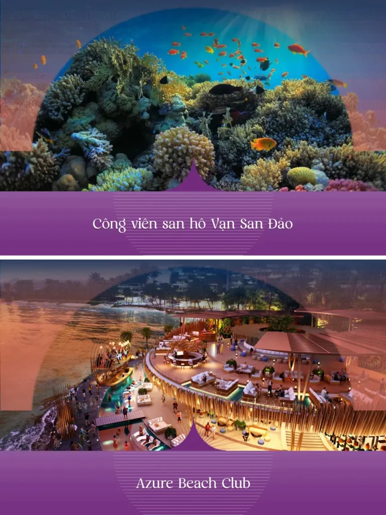 BIEU TUONG 3.jpg