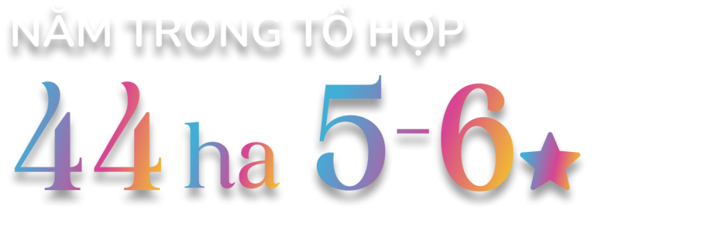 nam trong to hop 1