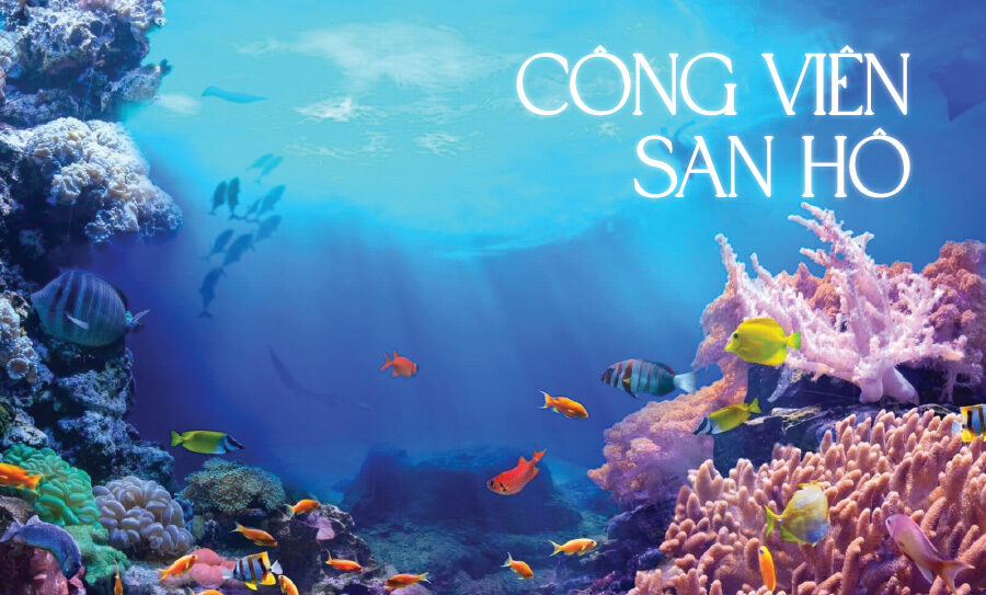 cong vien san ho e1755148544735