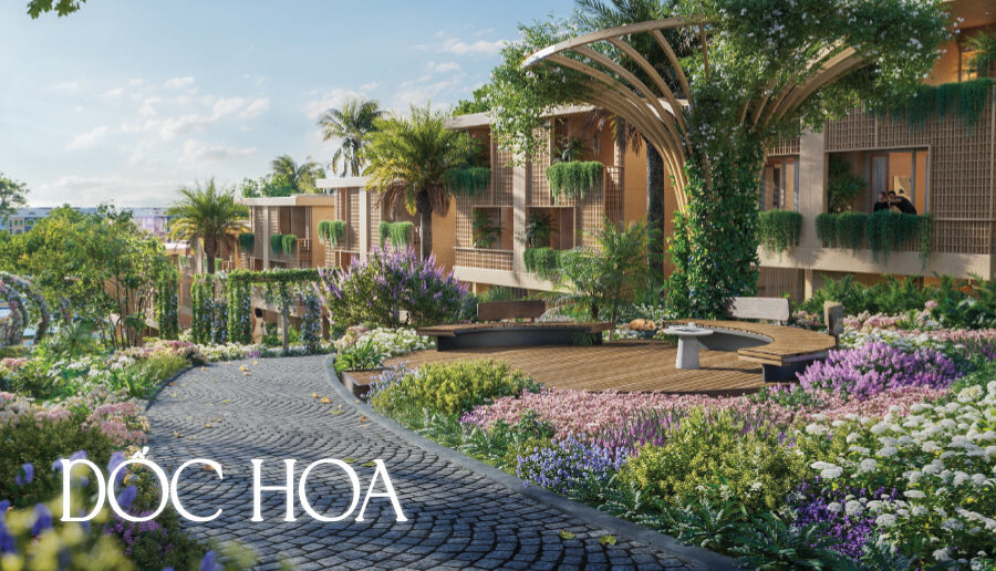 doc hoa e1755148568220