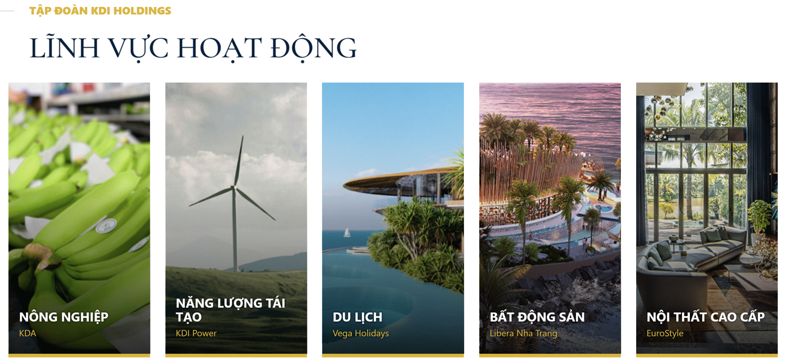lĩnh vực hoạt động KDI Holding