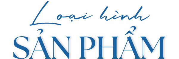 loai hinh sp