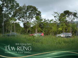 bđs tắm rừng